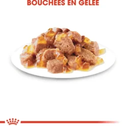 Pâtées pour chat senior en gelée Royal Canin Ageing +12 - 12 x 85 g