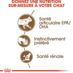 Pâtées pour chat senior en gelée Royal Canin Ageing +12 - 12 x 85 g