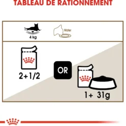 Pâtées pour chat senior en gelée Royal Canin Ageing +12 - 12 x 85 g