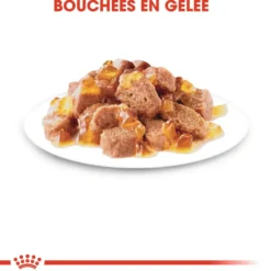 Pâtées pour chat stérilisé en gelée Royal Canin Sterilised - 12 x 85 g