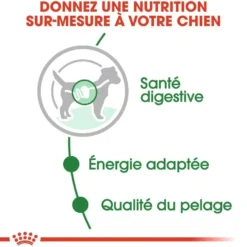 Pâtées pour chien adulte de petite taille Royal Canin Mini Adult - 12 x 85 g
