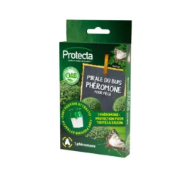 Pyrale du buis ginko buxus Protecta - 1 phéromone