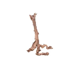 Racine Mopavigne pour aquarium et terrarium – Taille M