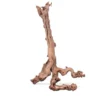 Racine pour terrarium coloris marron Aquavie Mopavigne - Taille XL