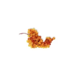 Raisin Danlas bio de France - Prix au kg
