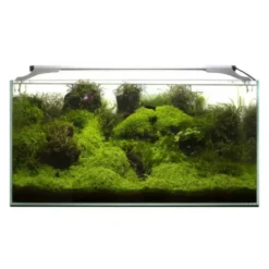 Rampe LED pour aquarium d'eau douce, blanc 10W, AQUAEL Leddy Slim Plant 2.0 - 10W