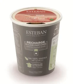 Recharge pour bougie parfumée senteur terre d'ocre Esteban - 180 g
