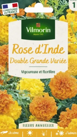 Rose d'Inde Double grande variée Vilmorin - graines à semer