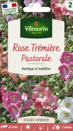 Rose Tremière Pastorale Vilmorin - graines à semer