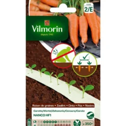 Ruban de graines de carottes Nanco HF1 Vilmorin