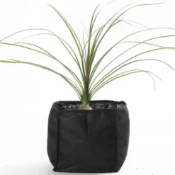 Sac de plantation bassin, résistant et pratique, VELDA - modèle Plant Basket - 25x25x20cm