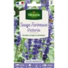 Sachet de graines de sauge