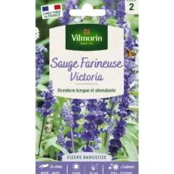 Sachet de graines de sauge