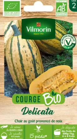 Sachet de semences potagères graine de courge delicata