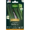 Sachet de semences potagères graines de concombre bella