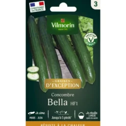 Sachet de semences potagères graines de concombre bella