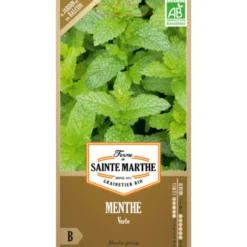 Sachets de graines de menthe verte bio - 500 graines