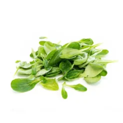 Salade mâche bio de France en Barquette de 100g - Prix à la pièce