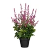 Sauge artificielle rose fuchsia en pot - Ø 26 x H 49 cm