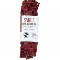 Sauge tressée sang du dragon coloris rouge - 10 cm