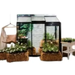 Serre de jardin en aluminium laqué noir ACD Miccolo 04 Blackline - 82 x 298 cm