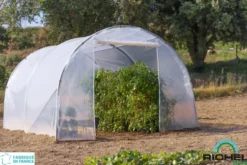 Serre de jardin en plastique transparente 6m² - 2 x 3 m