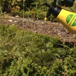Soin Potager Fruitiers Megagreen® 125 g