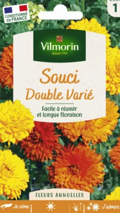 Souci Double varié Vilmorin - graines à semer