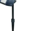 Spot extérieur Power spot pro 300 lm coloris noir en aluminium - 30 cm
