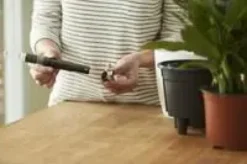Système d’auto-arrosage en polypropylène noir Elho Self Watering insert - 33 cm