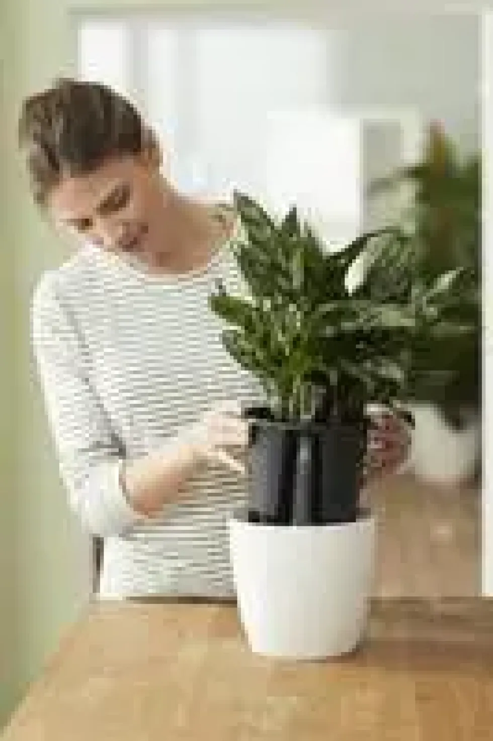 Système d’auto-arrosage en polypropylène noir Elho Self Watering insert - 33 cm