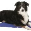 Tapis rafraîchissant pour chien coloris bleu Trixie - 40 x 50 cm