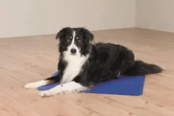 Tapis rafraîchissant pour chien coloris bleu Trixie - 40 x 50 cm