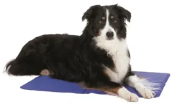 Tapis rafraîchissant pour chien coloris bleu Trixie - 40 x 50 cm