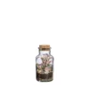 Terrarium autonome Baratte L botanic® - Ø 8,2 x 17,2 cm
