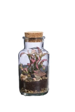 Terrarium autonome Barrate L botanic® - Ø 8,2 x 17,2 cm
