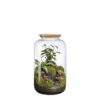Terrarium autonome Bonbonne Landscape botanic® - taille M