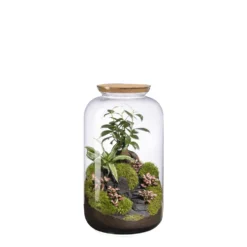 Terrarium autonome Bonbonne Landscape botanic® - taille M