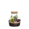 Terrarium autonome Dean botanic® - Ø 20 x 21 cm