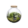 Terrarium autonome Havana Landscape botanic® - taille L