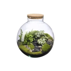 Terrarium autonome Havana Landscape botanic® - taille L