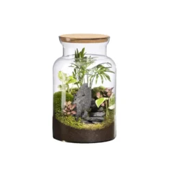 Terrarium autonome Jungle Landscape botanic® - taille M