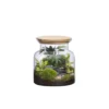 Terrarium autonome Jungle Landscape botanic® - taille S