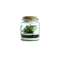 Terrarium autonome Mao L botanic® - Ø 12 x 14 cm