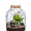 Terrarium autonome Mensa L botanic® - Ø 12,5-24 x 34 cm
