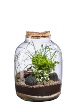 Terrarium autonome Mensa L botanic® - Ø 12,5-24 x 34 cm