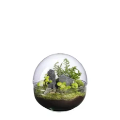 Terrarium autonome Mini Monde Landscape botanic® - taille M