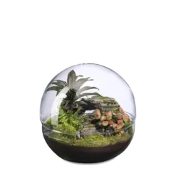 Terrarium autonome Mini Monde Landscape botanic® - taille L