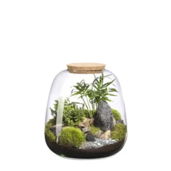 Terrarium autonome Moly Landscape botanic® - taille L