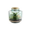 Terrarium autonome Napoli M botanic® - Ø 23 x 25 cm